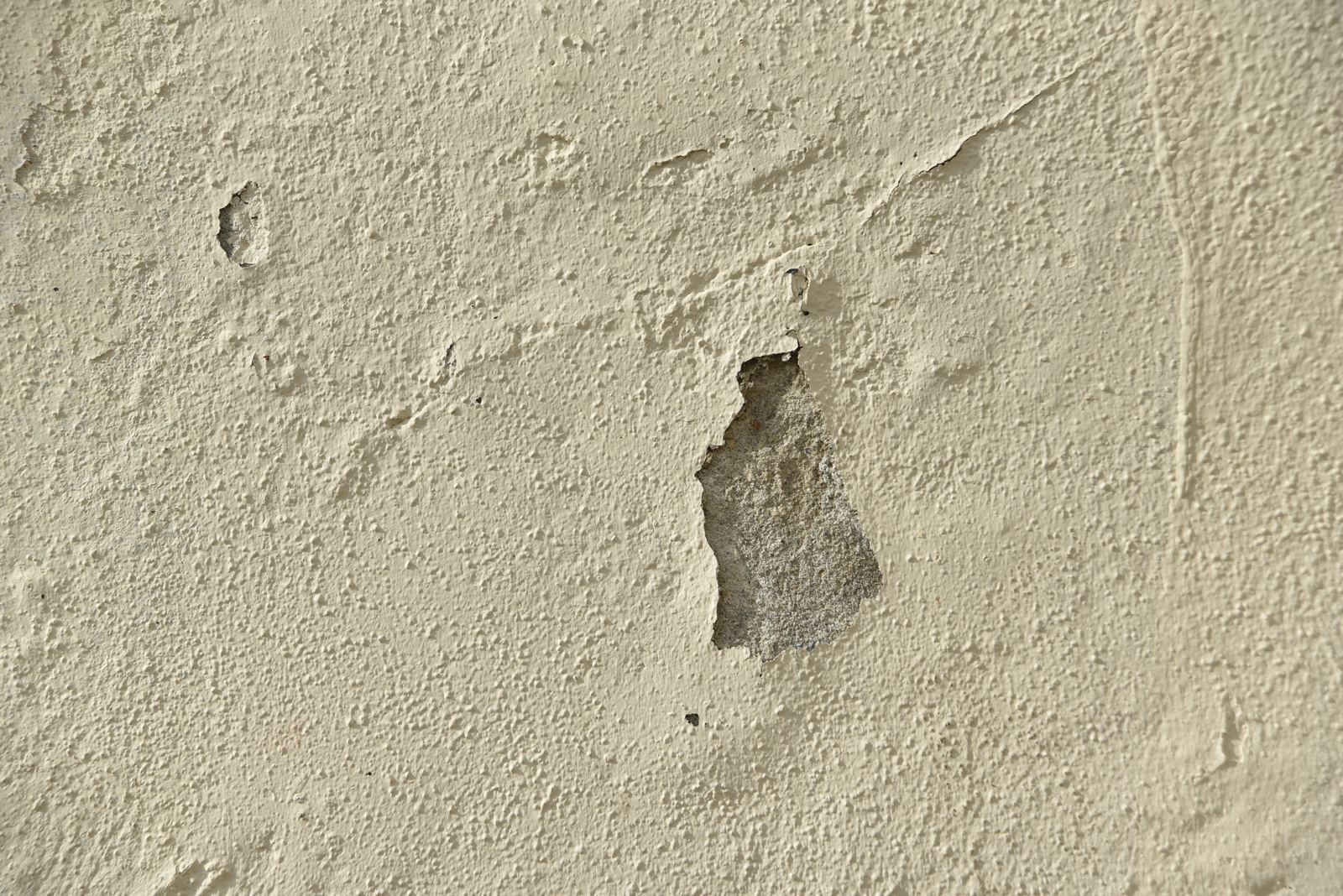pt_202409_0075.jpg